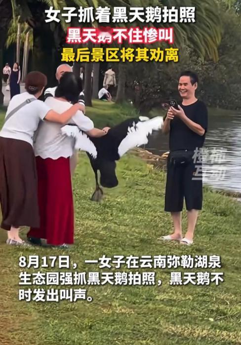 “实在太过分了！”云南弥勒湖泉生态园里，一个老年旅游团前来游玩，其中一名大妈竟直