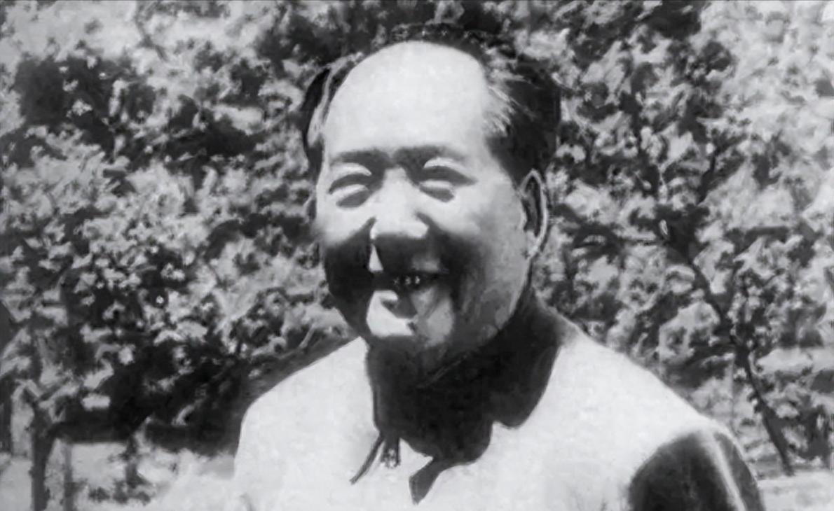 一位开国大校想见毛主席，被工作人员劝阻后提议报绰号，坚信毛主席会接见自己！19