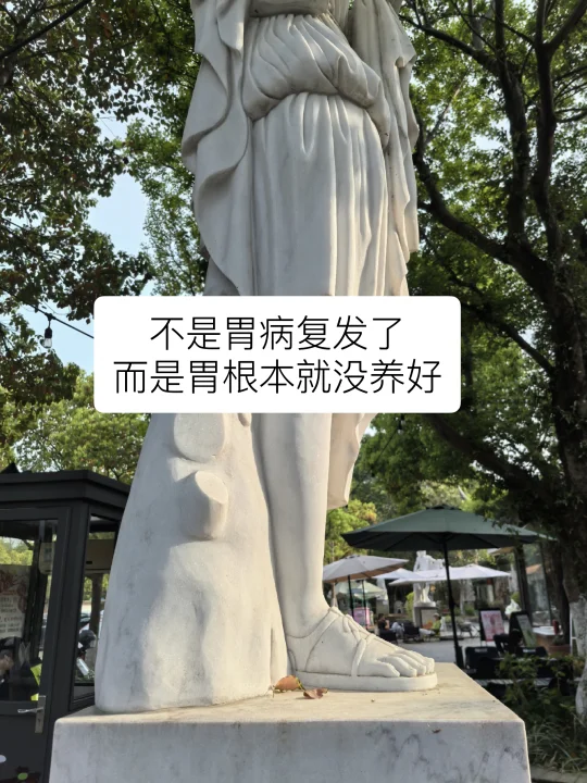你的胃，可能根本就没养好