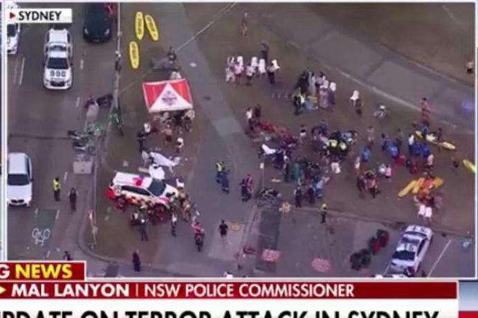 突发新闻：澳大利亚官员已证实，悉尼邦迪海滩反犹太袭击事件的肇事者是一对父子，分别