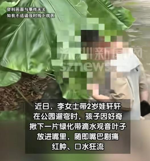 “悲剧还是发生了！”5月30日报道，广东深圳，一2岁宝宝在公园玩耍时，妈妈一个没