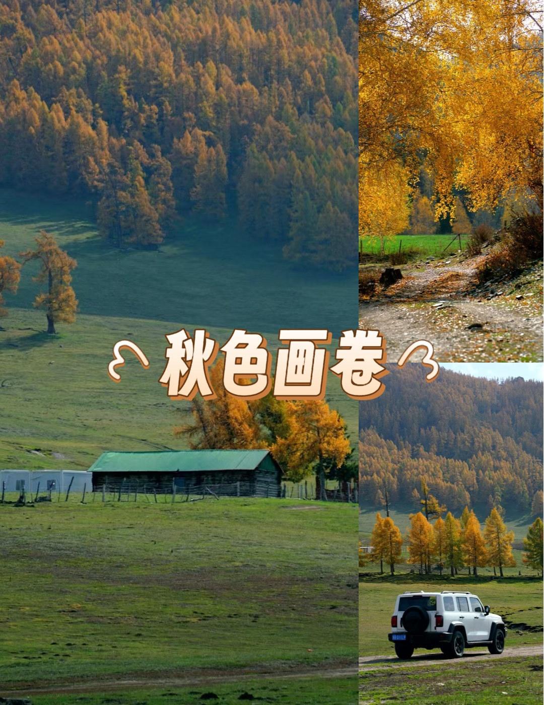 把工作群消息静音，开着车一头扎进北疆的秋日童话。层林尽染的山峦像打翻的调色盘，草