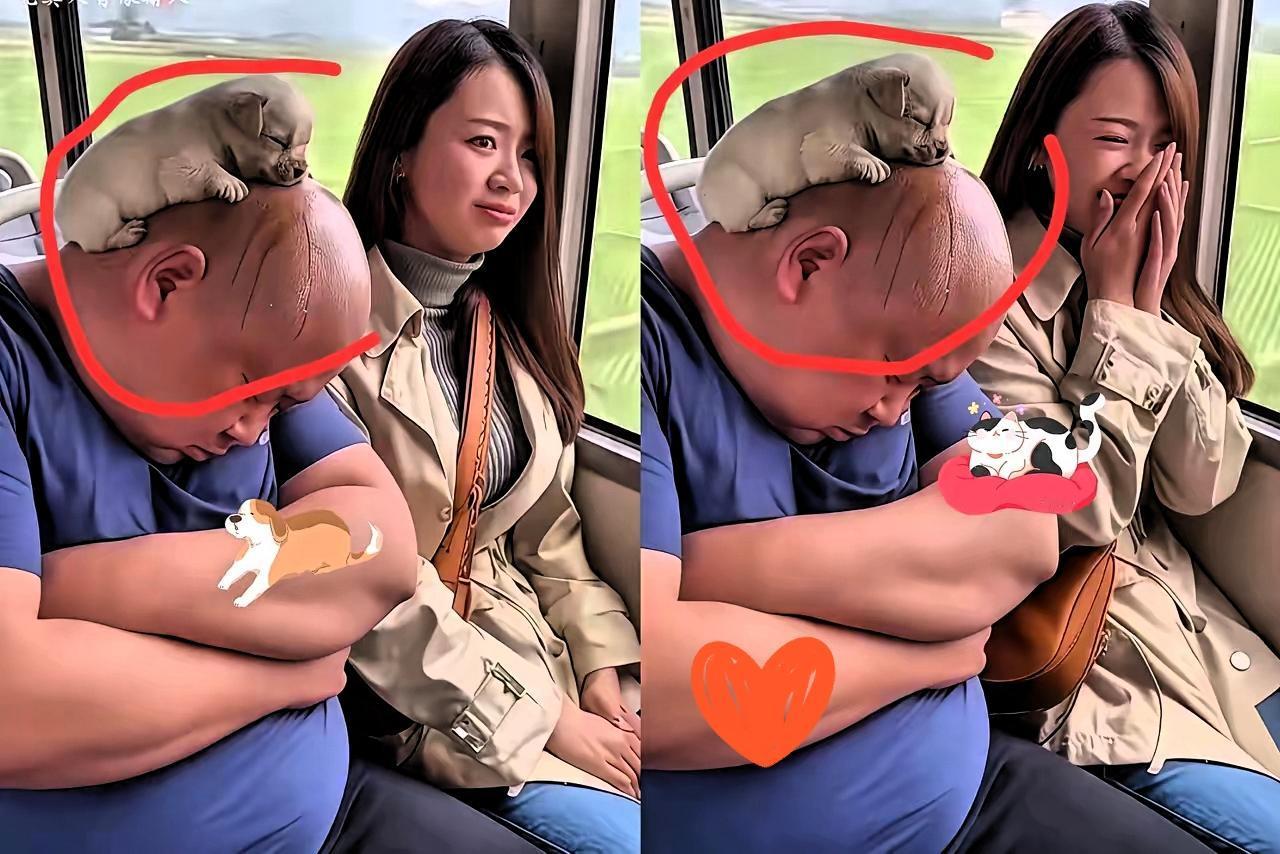 谁懂啊！公交车上偶遇的“光头睡搭子”直接把我萌到跺脚！大哥歪在座位上睡得正