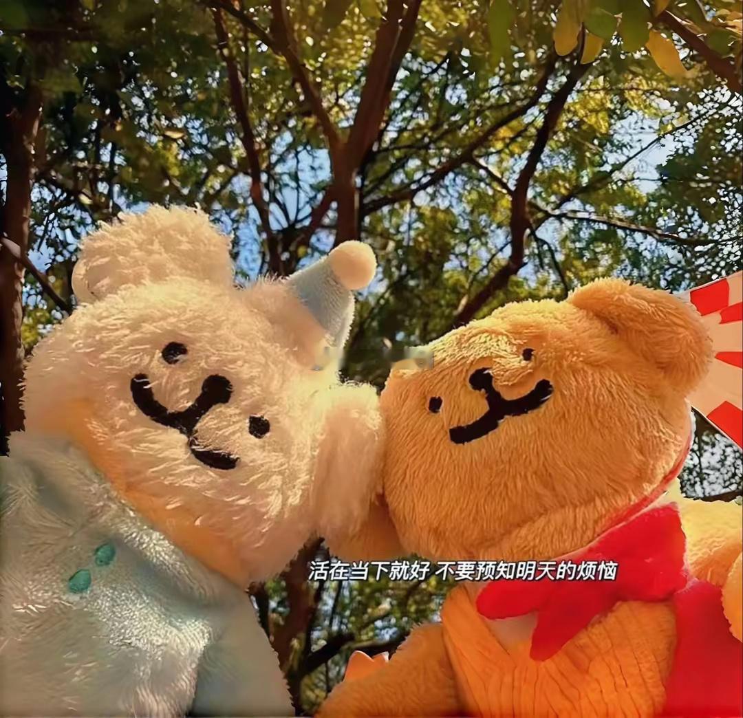 双子座在感情中呈现出一种独特的态度，他们认为伴侣的重要性虽然不可否认，但生活中的