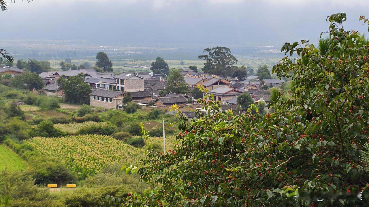 今日南京被台风“白海豚”搅得就像被调皮孩子打翻的积木盒，一片混乱，昨天那强降水简
