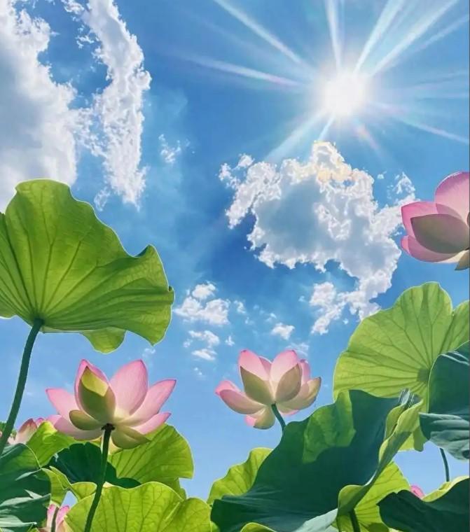 从5月开始“突然顺了”的6个星座，权威占星解读，接住好运2026年5月，星象