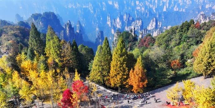 树树皆秋色,山山唯落晖。当季节的笔触轻抚三湘大地,一场绚烂的秋日盛宴正在悄然上演