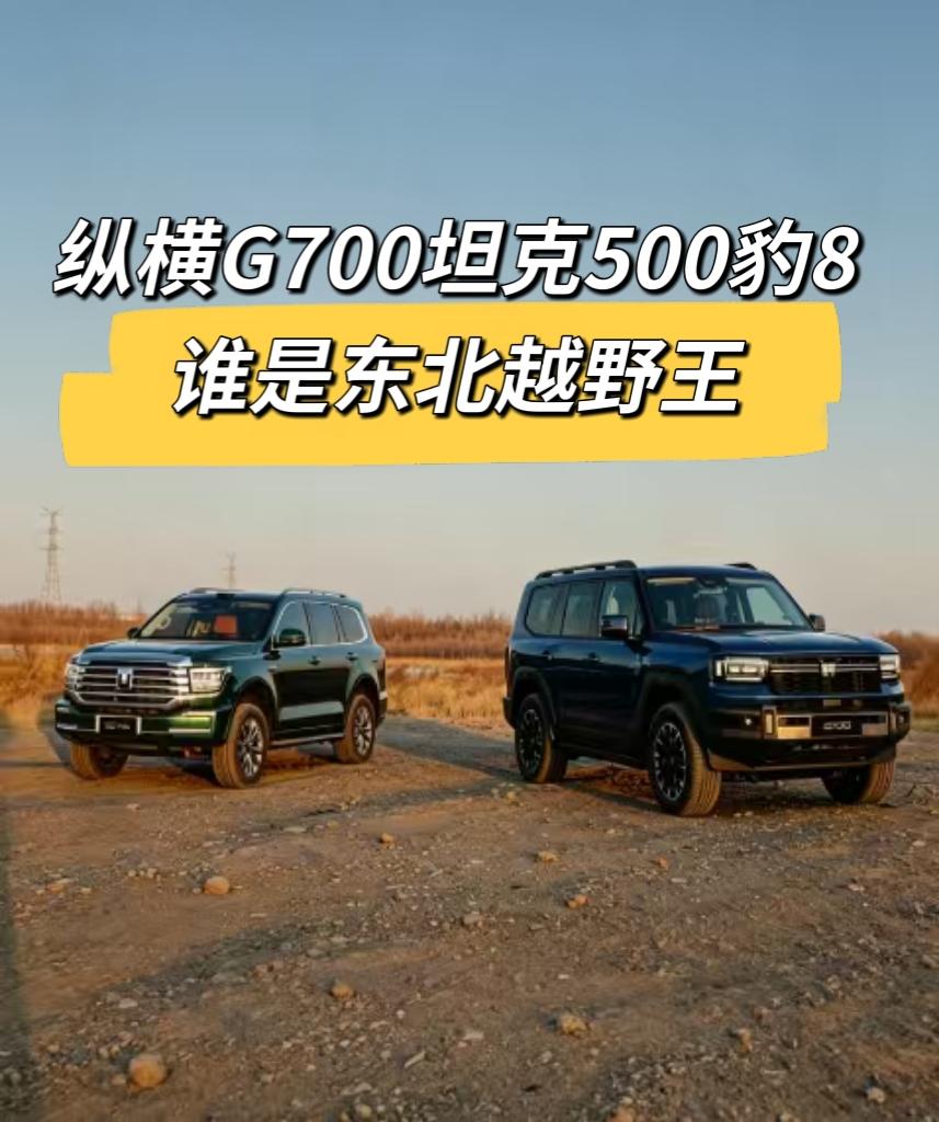 咱选硬派越野，就认仨点：动力猛、越野强、性价比高。30-40万这档，纵横G700