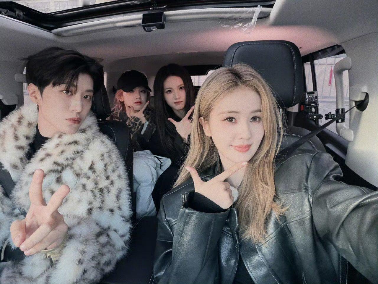 白鹿心愿达成了