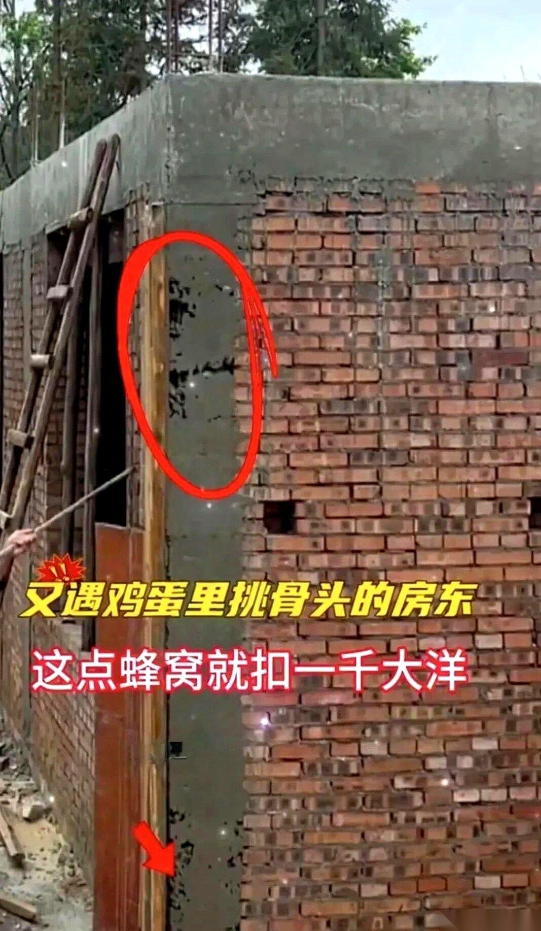 “要么把这整根承重柱全砸了重新浇，要么直接扣一千块钱！”刚拆完模的自建房工地上