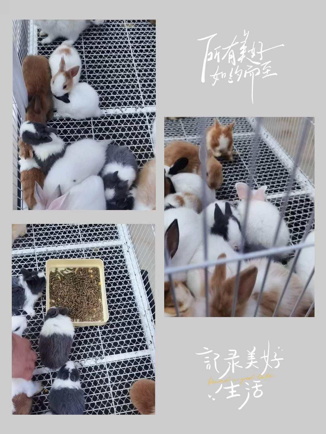 所有美好，如约命至。
