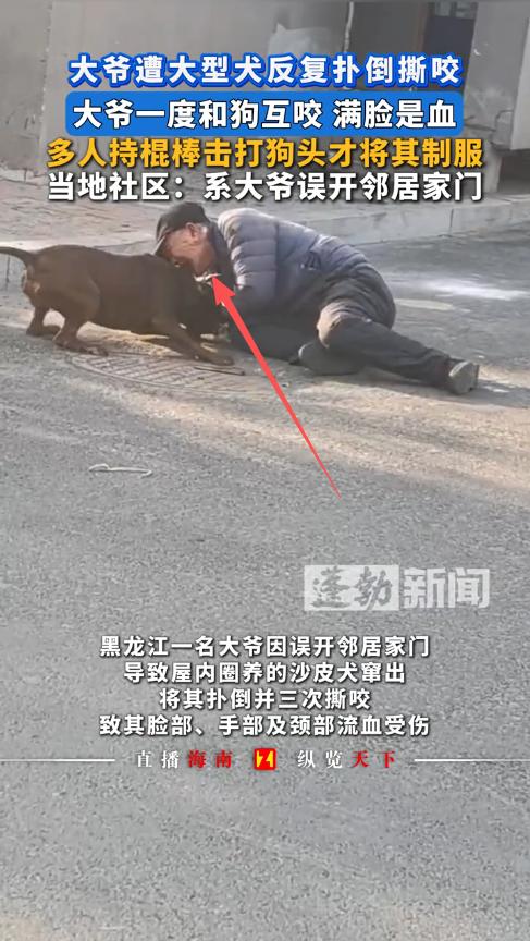 “冤不冤？”11月22日，黑龙江佳木斯，一老人回家时开错门，把邻居家的大狗放了出