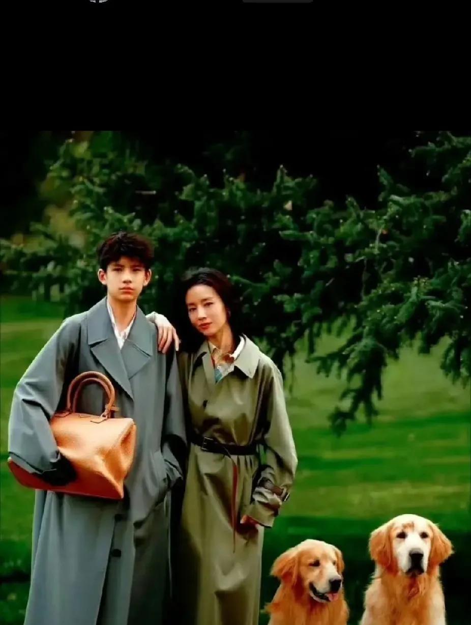 董洁的儿子长的真是在帅啦！不管他长的象谁，都不能乱说。