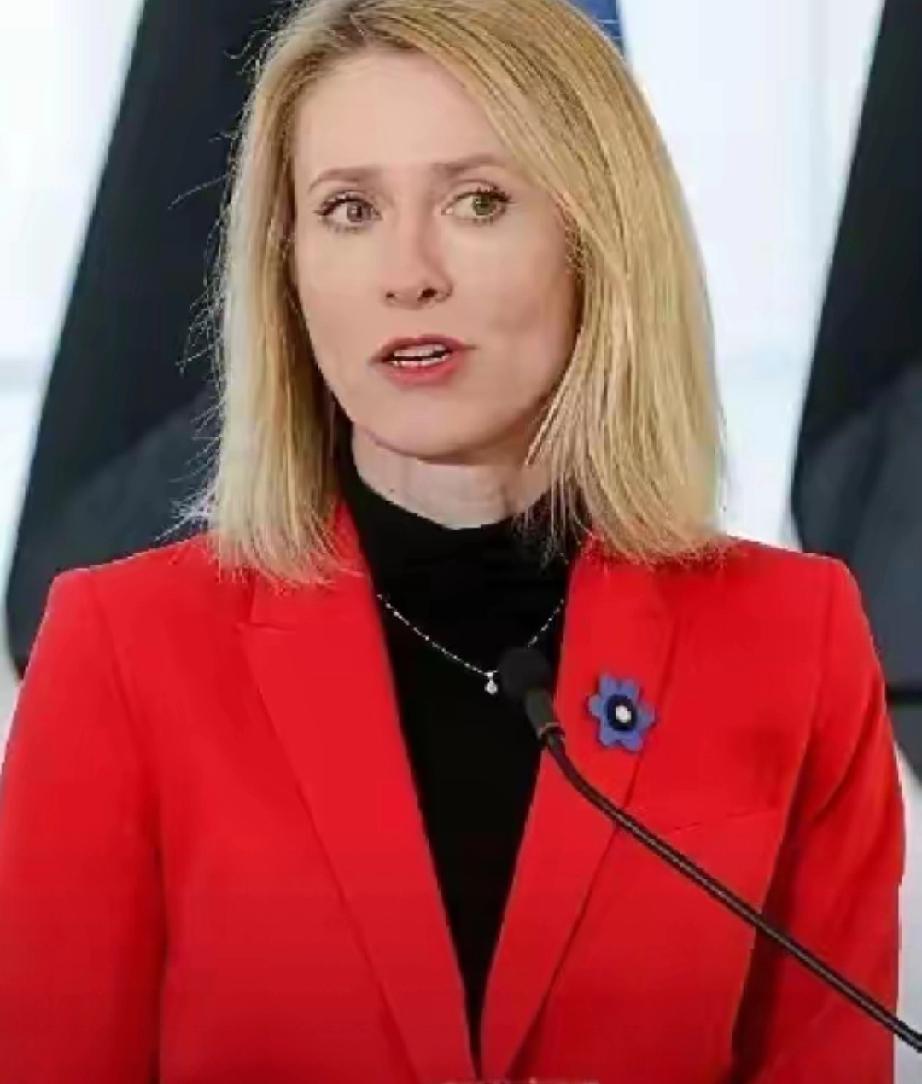 欧盟这扇门，突然焊死了！​4月27日，欧盟直接出台强硬新规，全面开始清算行动。