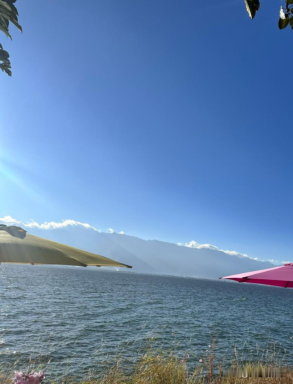 中午，我刷抖音婚姻恋爱法律直播间，听网友连线。主播小律正在用很严肃的语气骂连线网