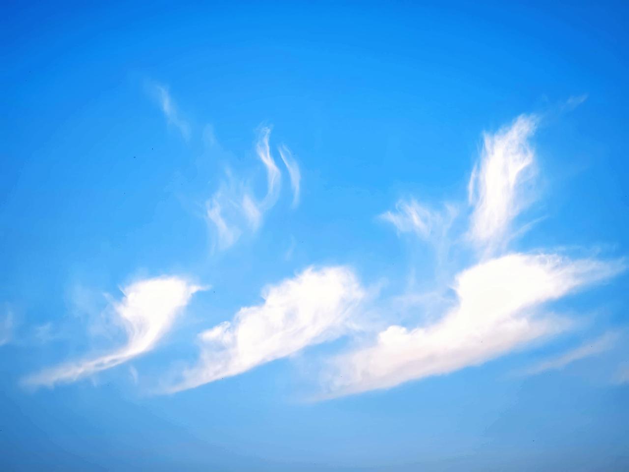 觉醒后，无人纠缠无人打扰，内在元神才能得到静养！尽了的缘，别去再续，