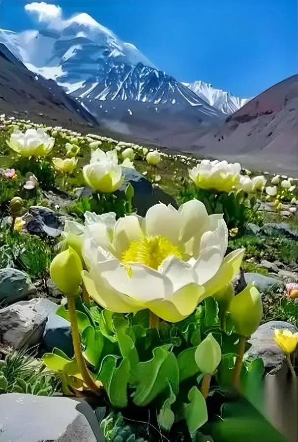 你有没有发现越“懒”的人越容易被生活“晾”着？我妈以前总说“人要像门