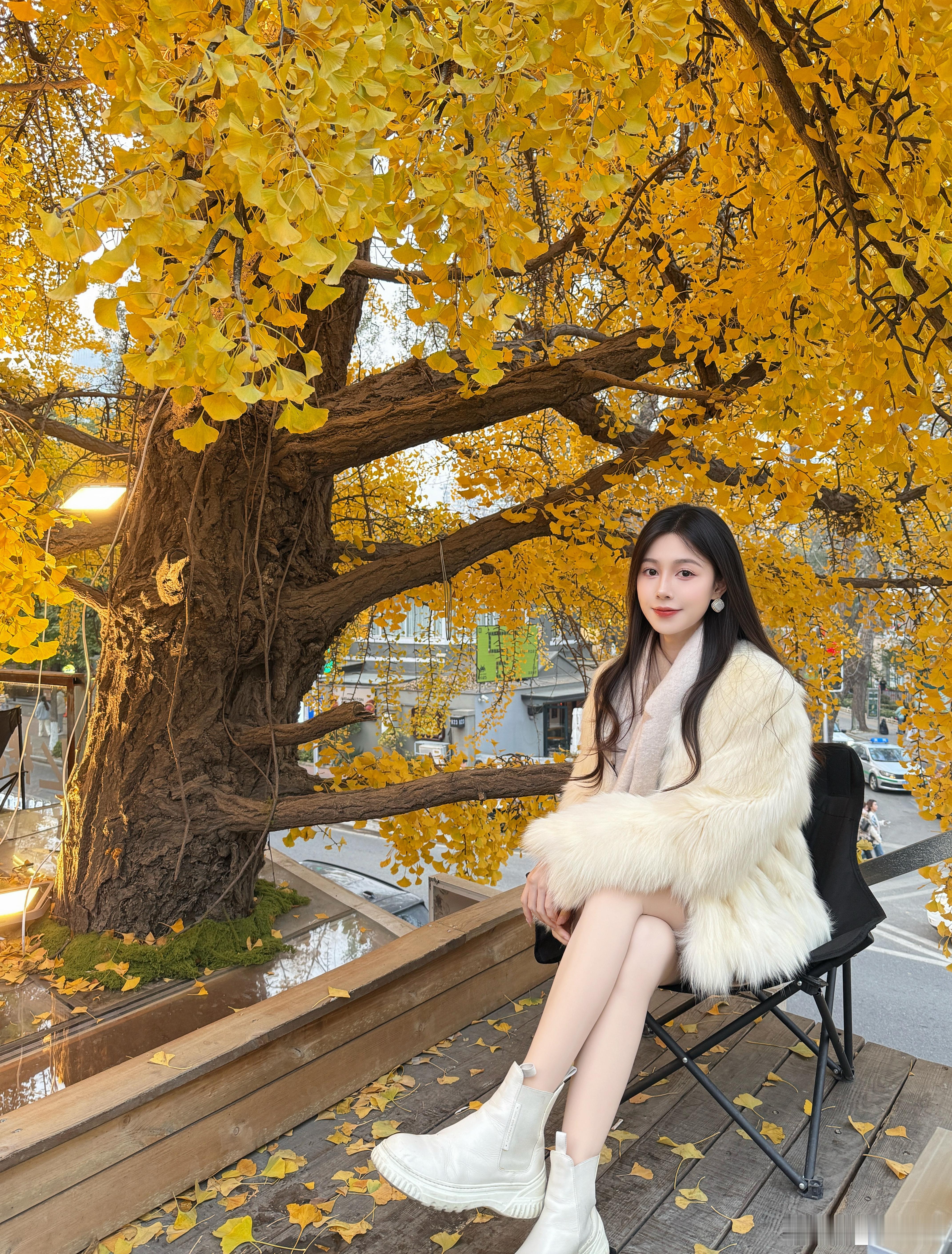 在这落叶像雪的季节🍂银杏大连南山街​​​