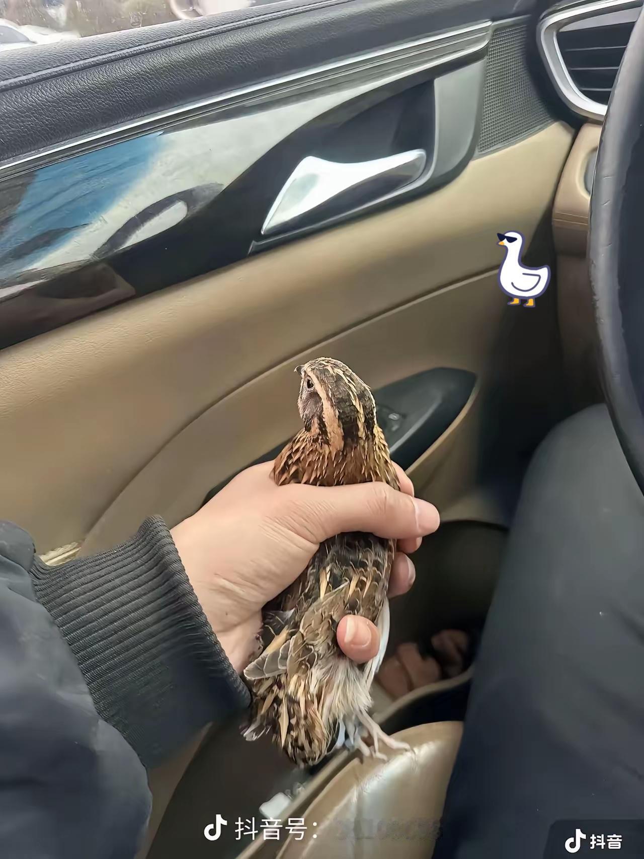 有人说马杜罗亲兵队长被策反，我突然意识到一个很严重的问题，那些老婆孩子都在外国的