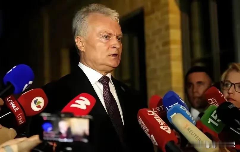 立陶宛总统瑙塞达最近对着波罗的海通讯社的镜头放话，说盼着赶紧来北京访问，还得让中