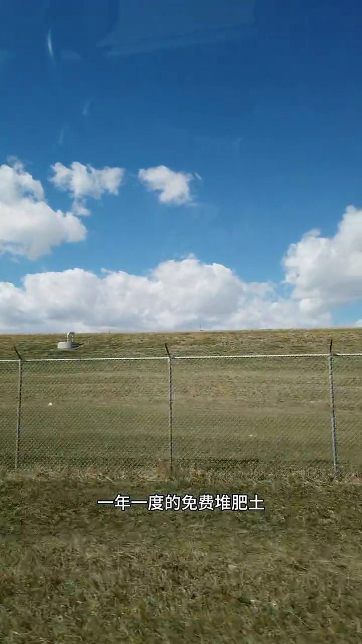 清清漫步加拿大，分享有烟火气的海外生活。一年一度的免费堆肥土又可以领取了，去年我