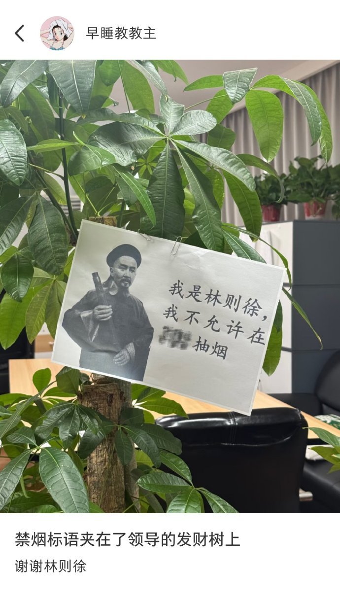 禁烟标语夹在了领导的发财树上