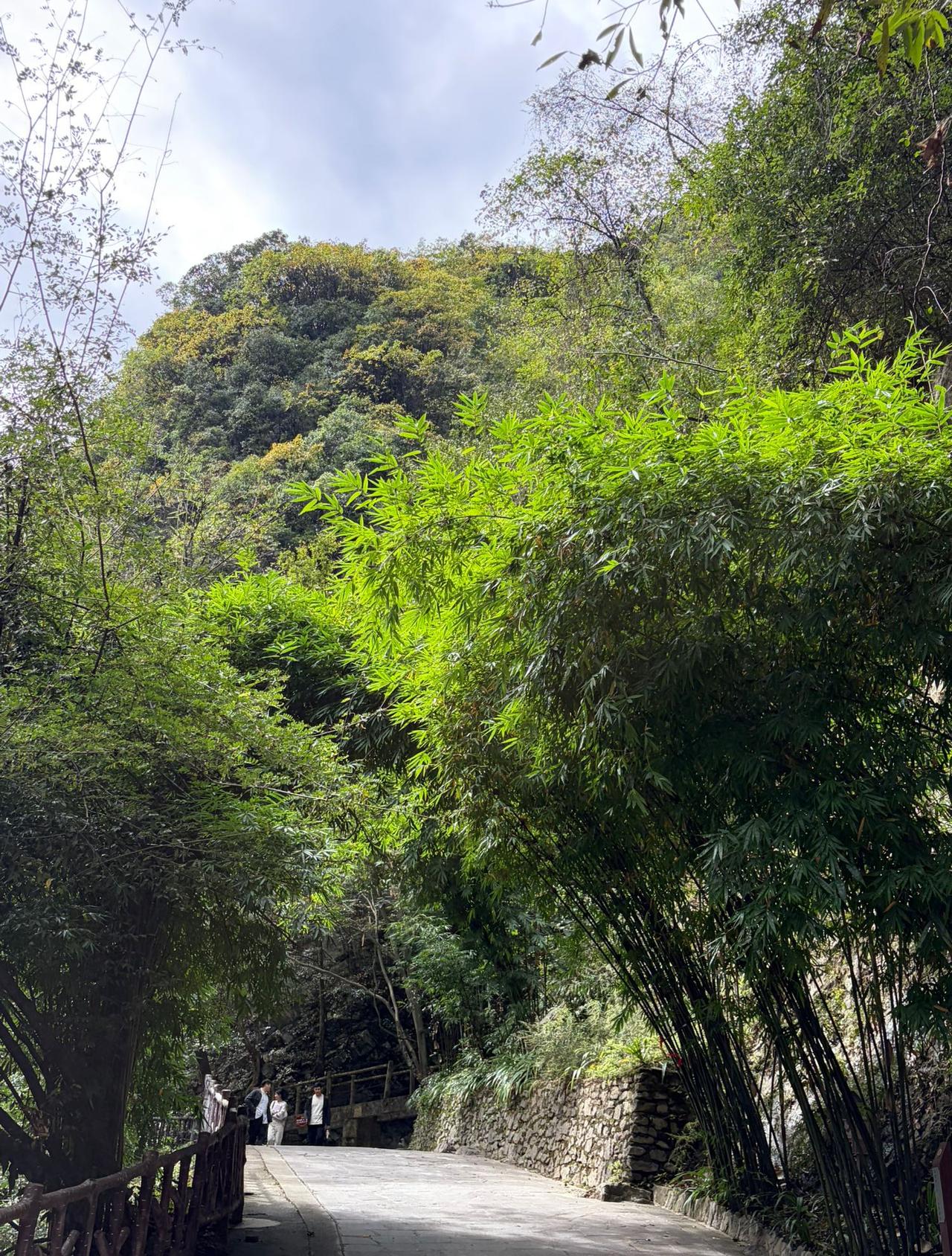 朋友是老师。有年冬天，她耳朵突然聋了一只。医生说，赶紧住院，再拖就真聋了。她