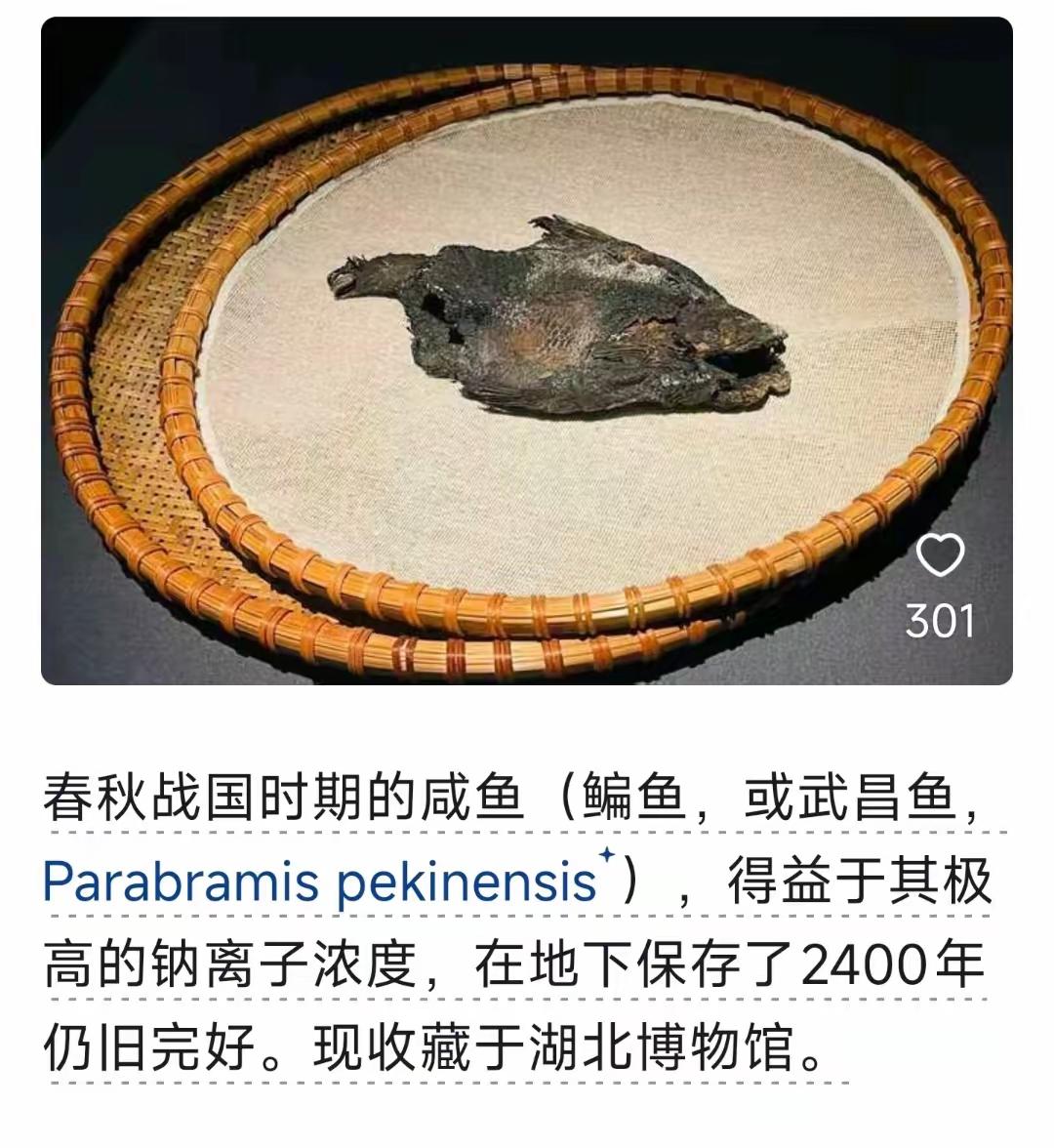 我国咸鱼的历史好久远啊[捂脸哭]