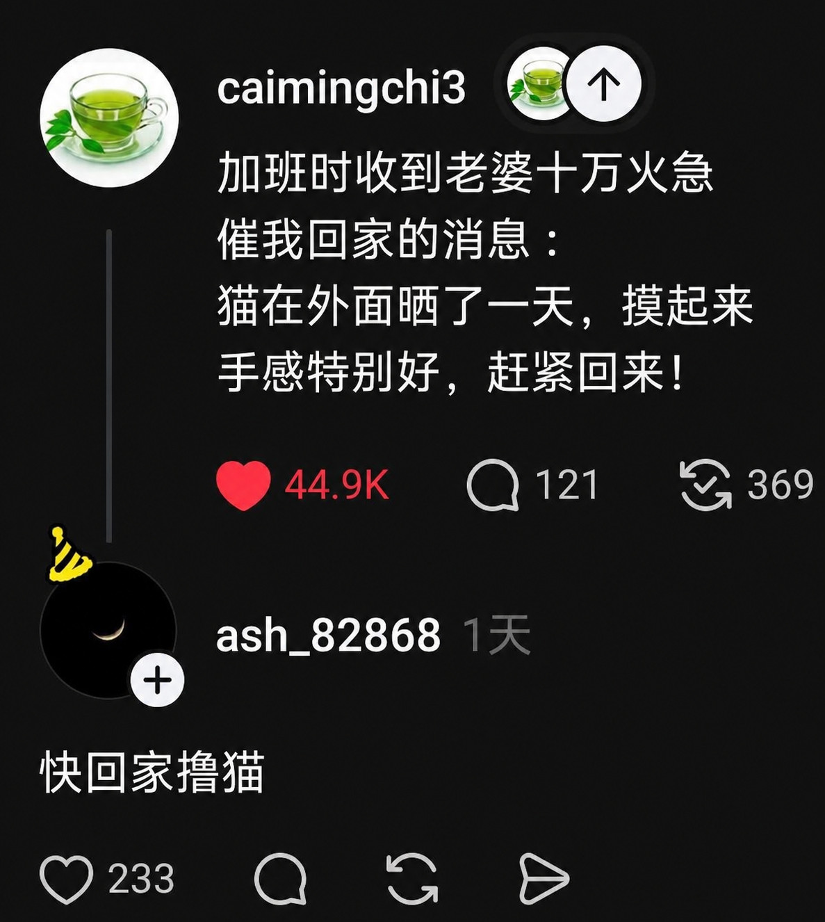 啊啊啊啊啊速归！