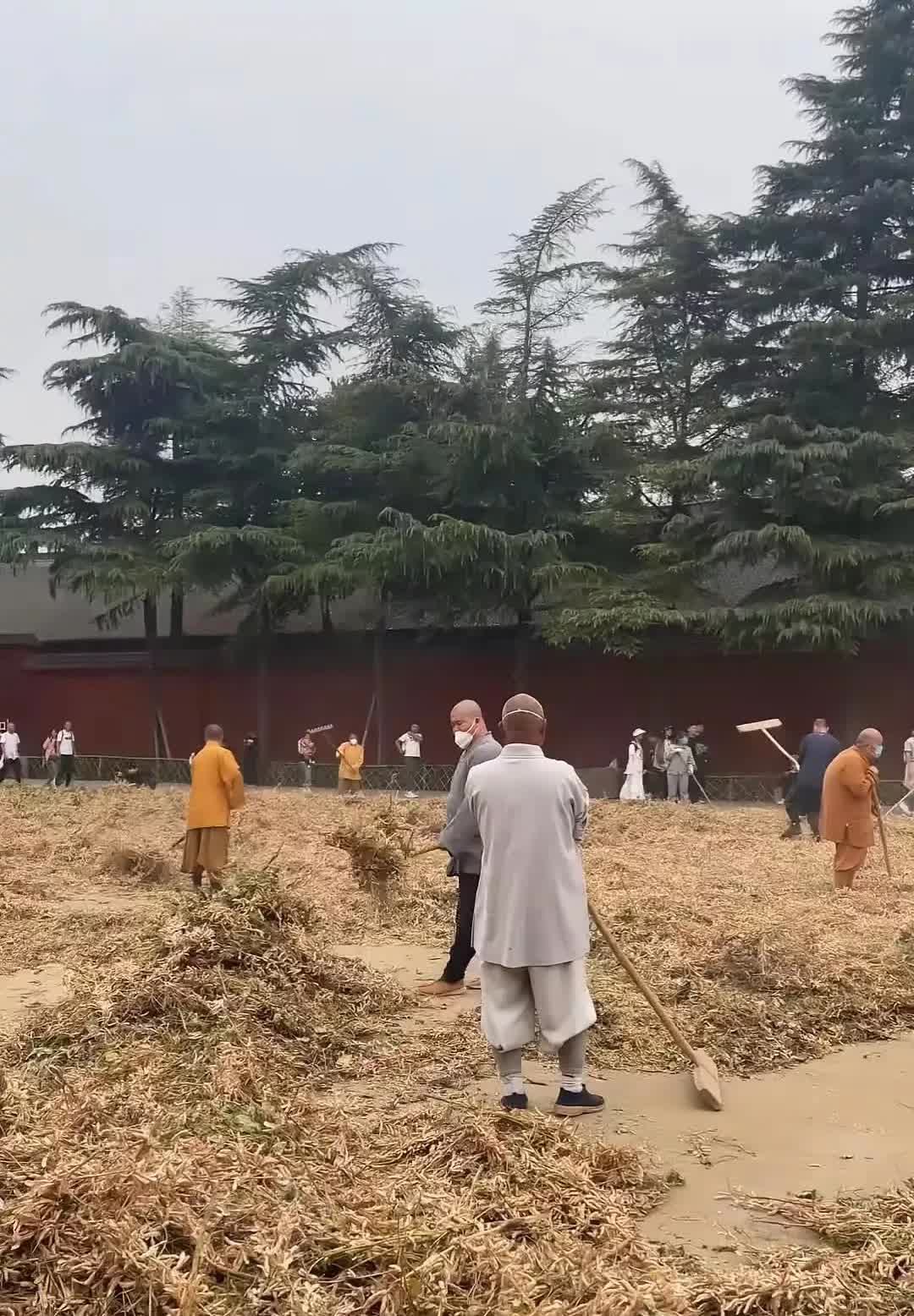 河南洛阳，有一名女子前往白马寺游玩，刚进入寺院，就看到室内很多僧人在忙碌着，有僧