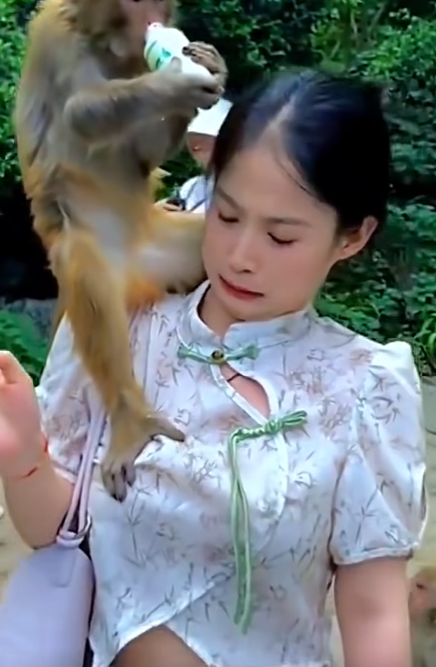 必须让猴哥写一篇五千字的心得体会