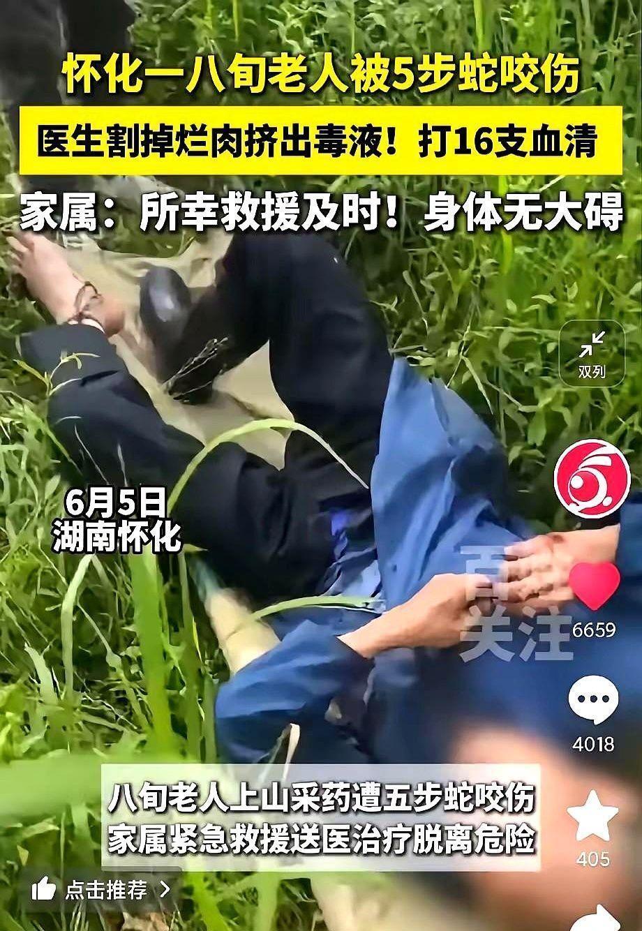 八旬采药翁遇毒蛇袭厚胶靴救命湘西深山有位八旬老伯采药时，剧毒蛇獠牙竟穿透厚实