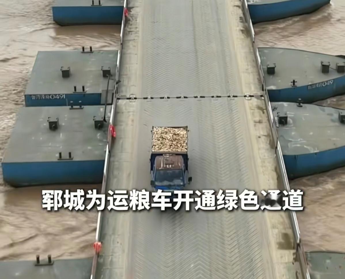 山东又