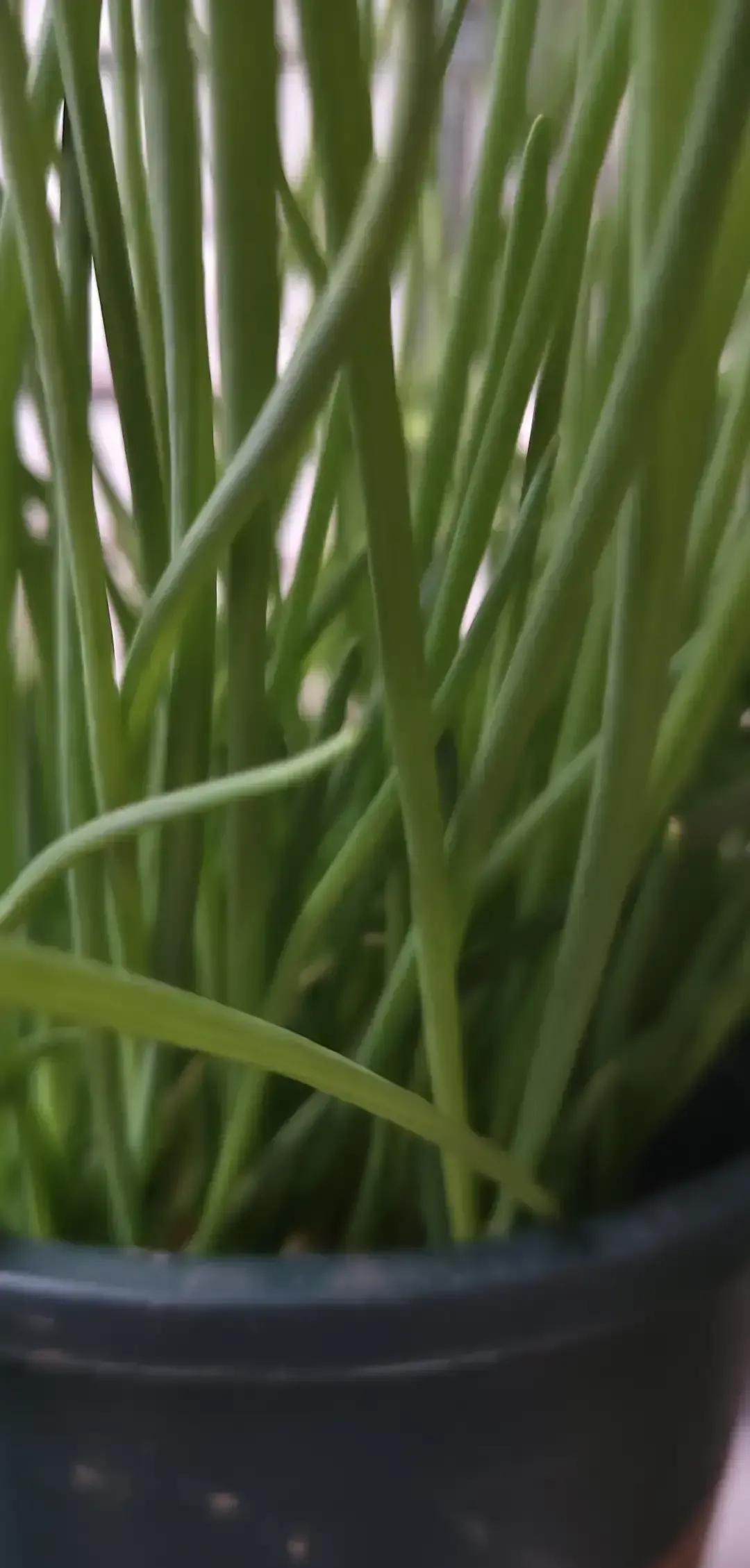 老人没吵没闹，把房产证复印件留在儿子家餐桌上，转身去了女儿家。儿子打了三个月电