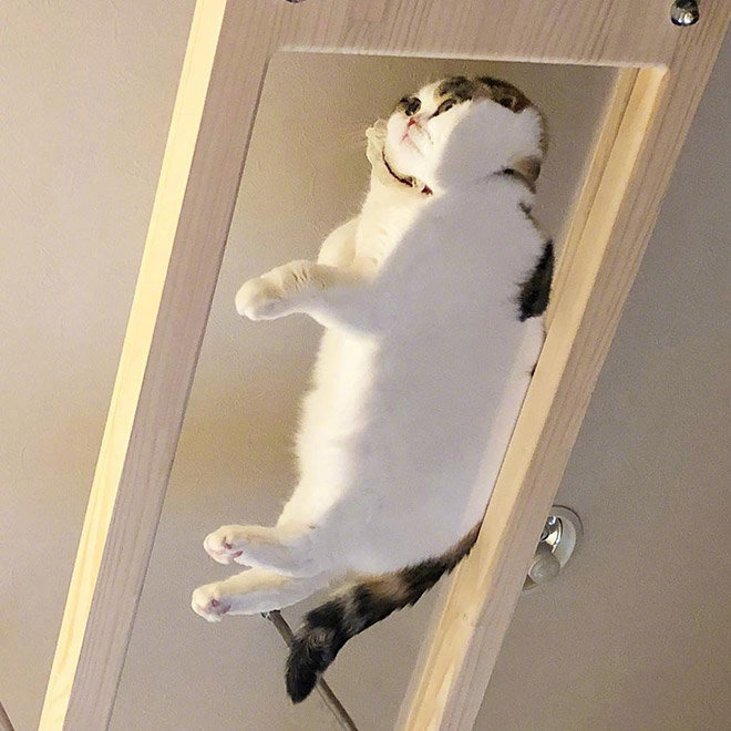 底部偷拍