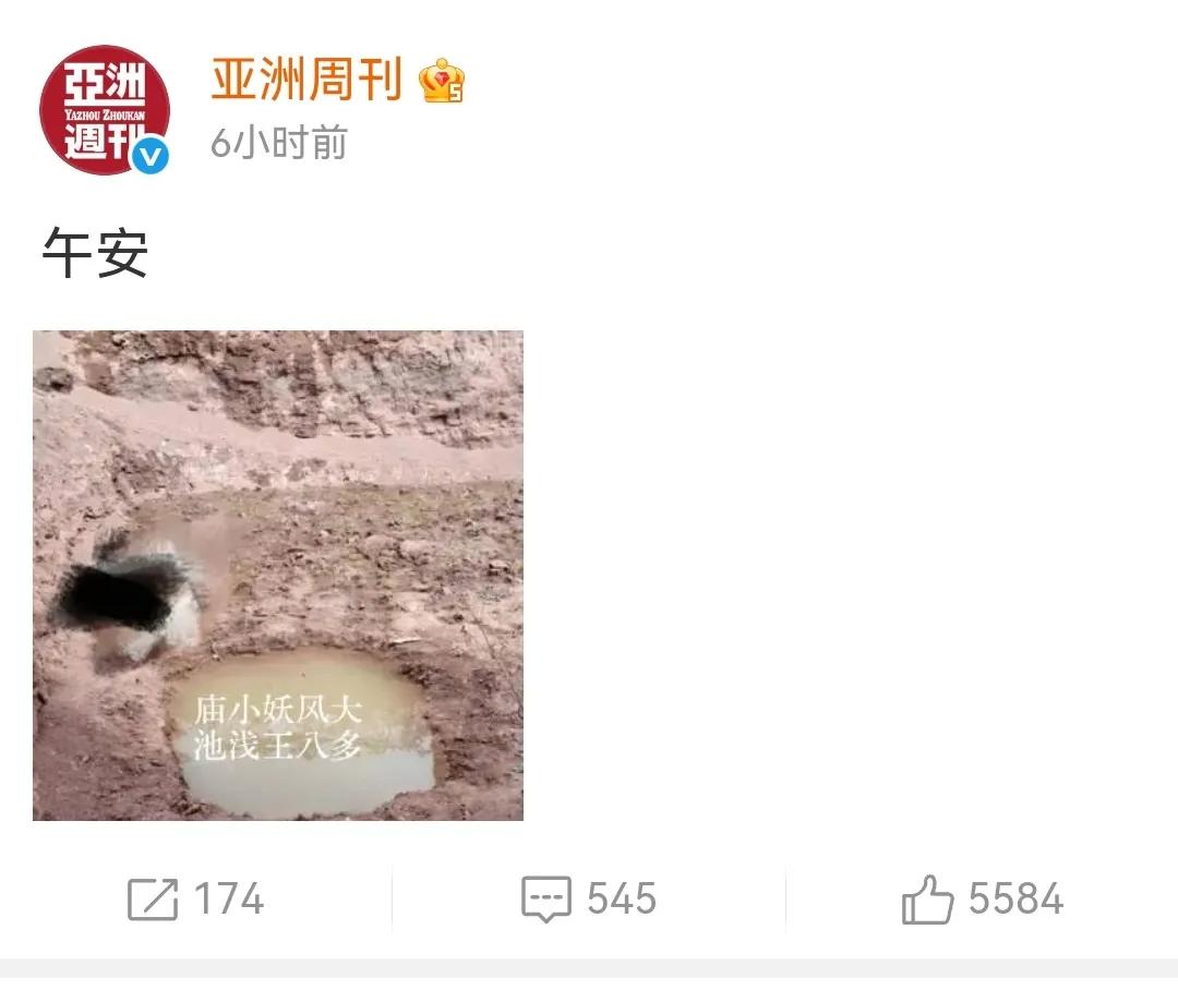 亚洲周刊配图真是绝了！一句午安配上这个图，庙小妖风大，池浅王八多。这两句明眼人