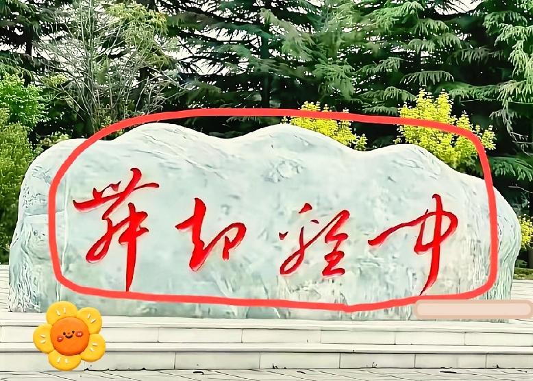 路边石刻大字，能完整认全的都是书法行家园区这块景观石上的四字草书，不少路人站