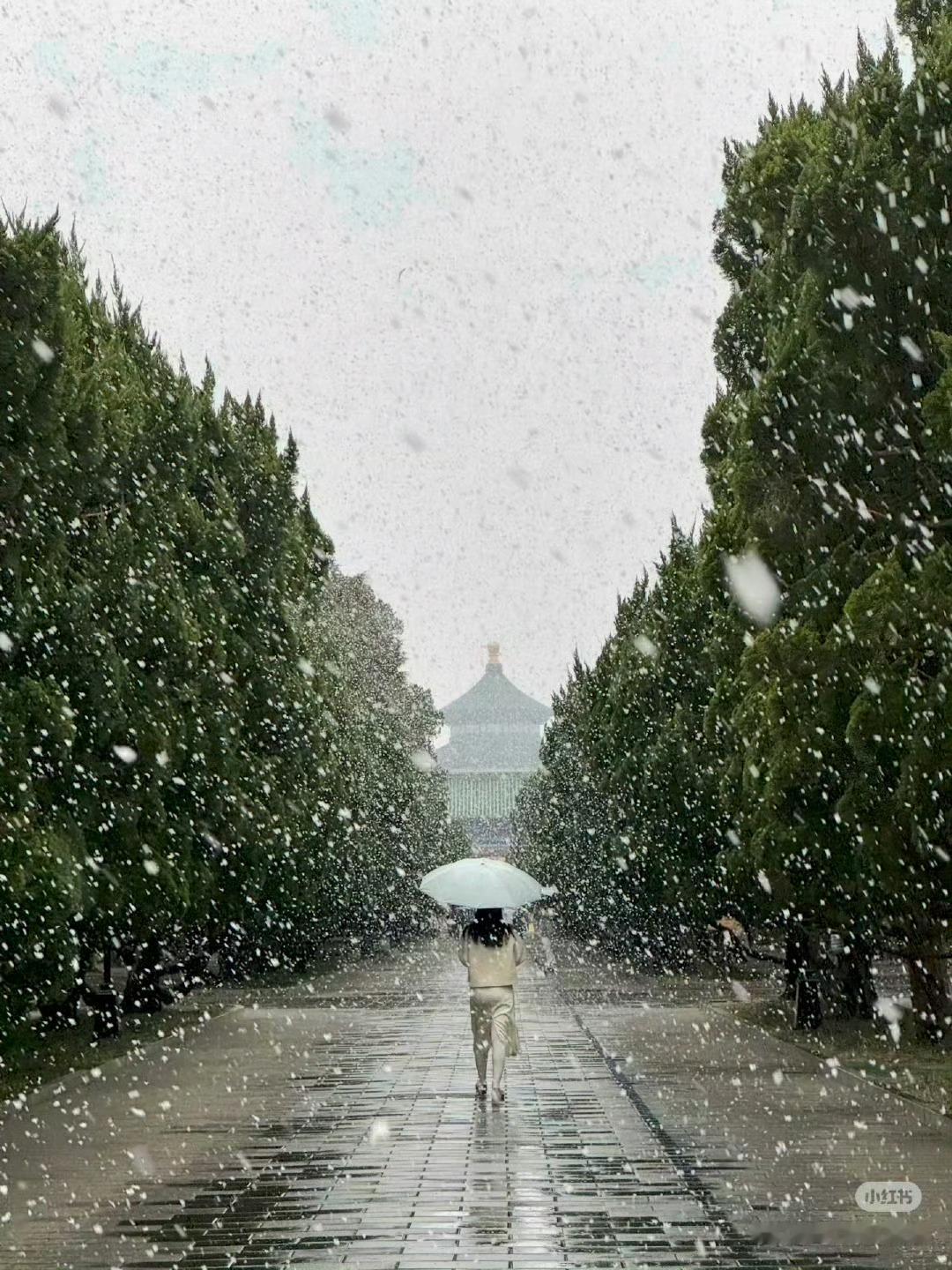  北京下雪北京初雪遇故宫，雪景与歌声适配度满分，氛围感直接拉满，赴京赏雪的期待