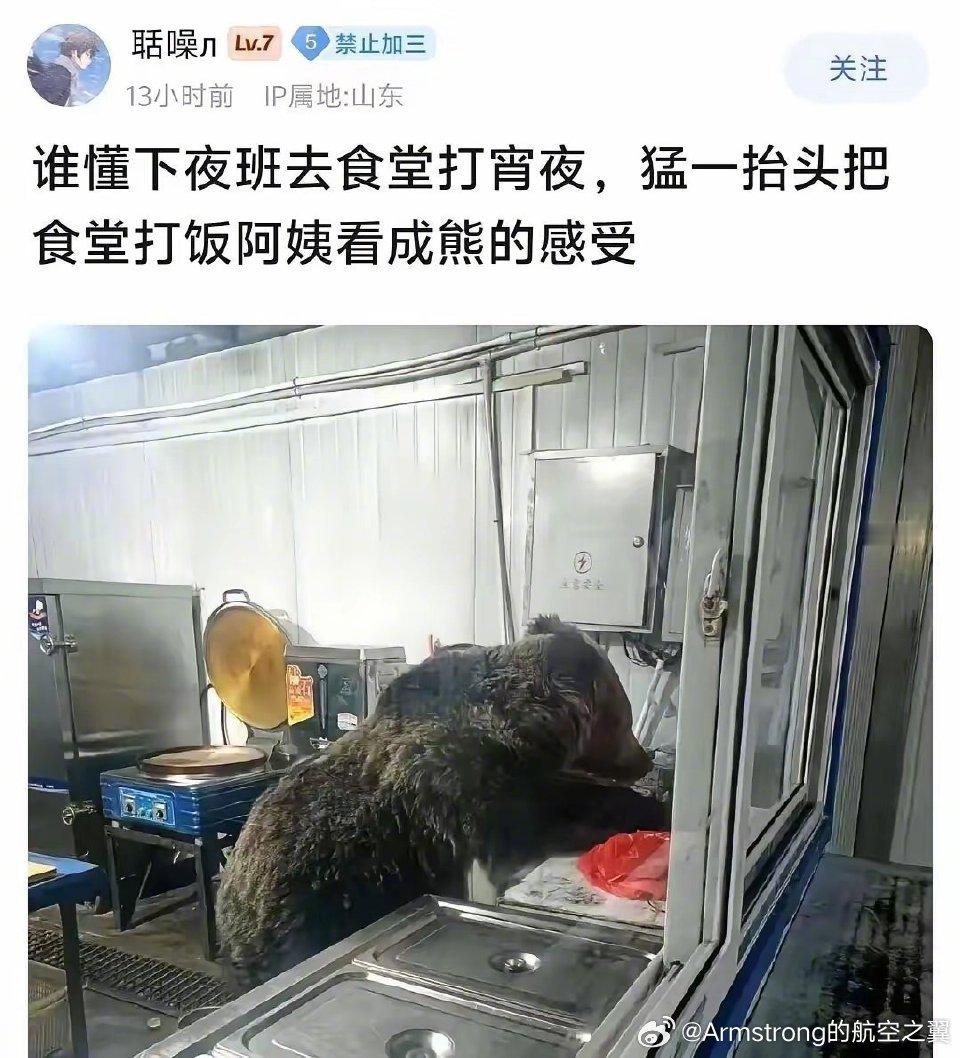 看了半天，只看到熊啊，阿姨在哪里？