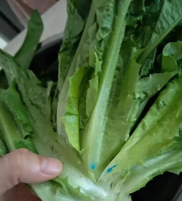 看到张家口白菜泡甲醛的新闻，我马上给我妈打电话，让她再买菜必须做好这几件事:1