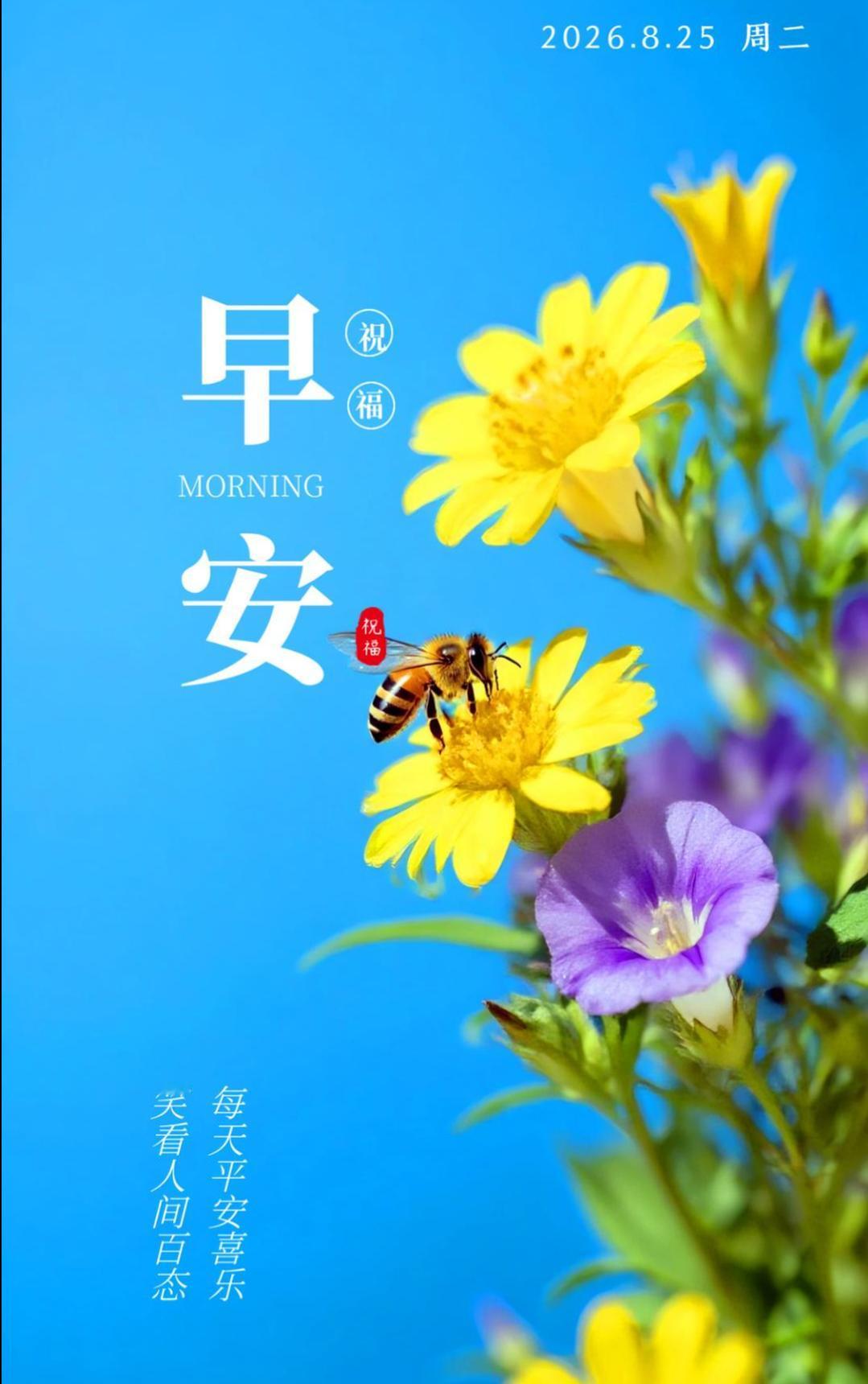 🌞周二早安！迎着晨光开启崭新的一天，请保持一份平常心，看淡世事浮沉，心怀温柔，