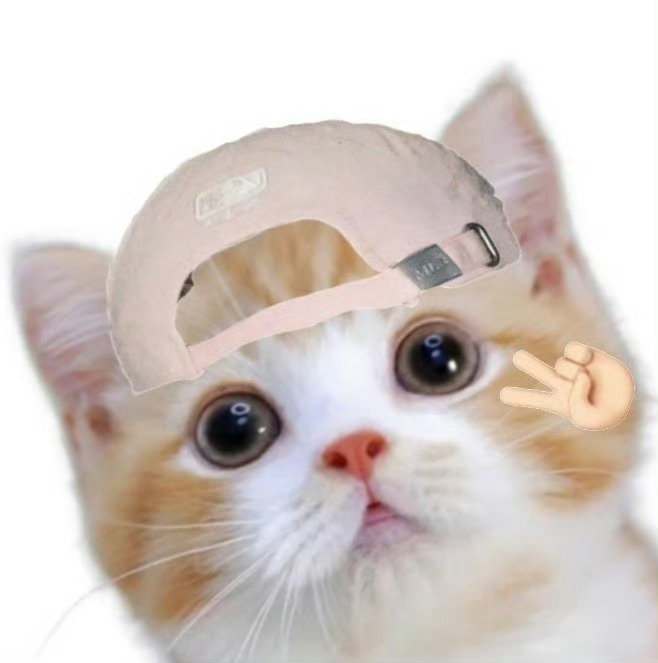 猫咪呀猫咪呀​