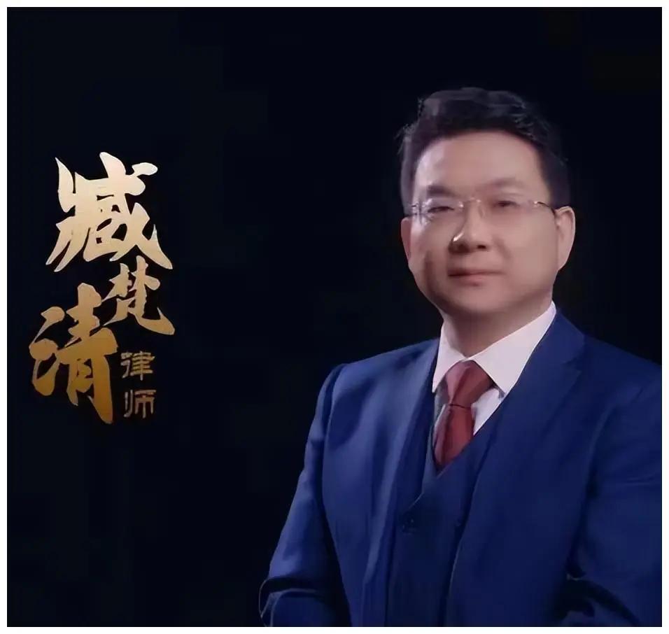 瑶瑶案的律师是臧梵清！那可是臧梵清律师啊！！！“王子耀”的案件。相信很多