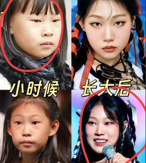 总算整明白了！之前还纳闷小沈阳女儿沈佳润为啥不在国内试试水，原来根本不是怕被说三