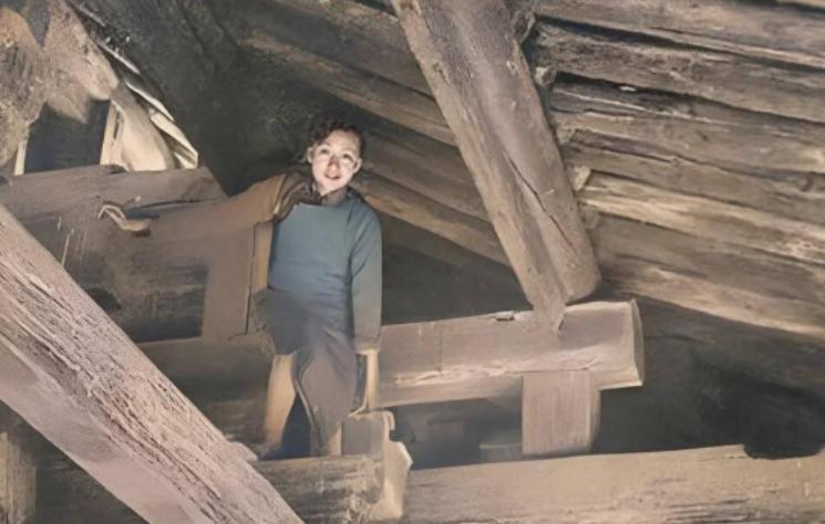 2002年，杨澜在采访中，指着林徽因的一张照片问梁从诫：“你母亲踩着高跟，穿着旗