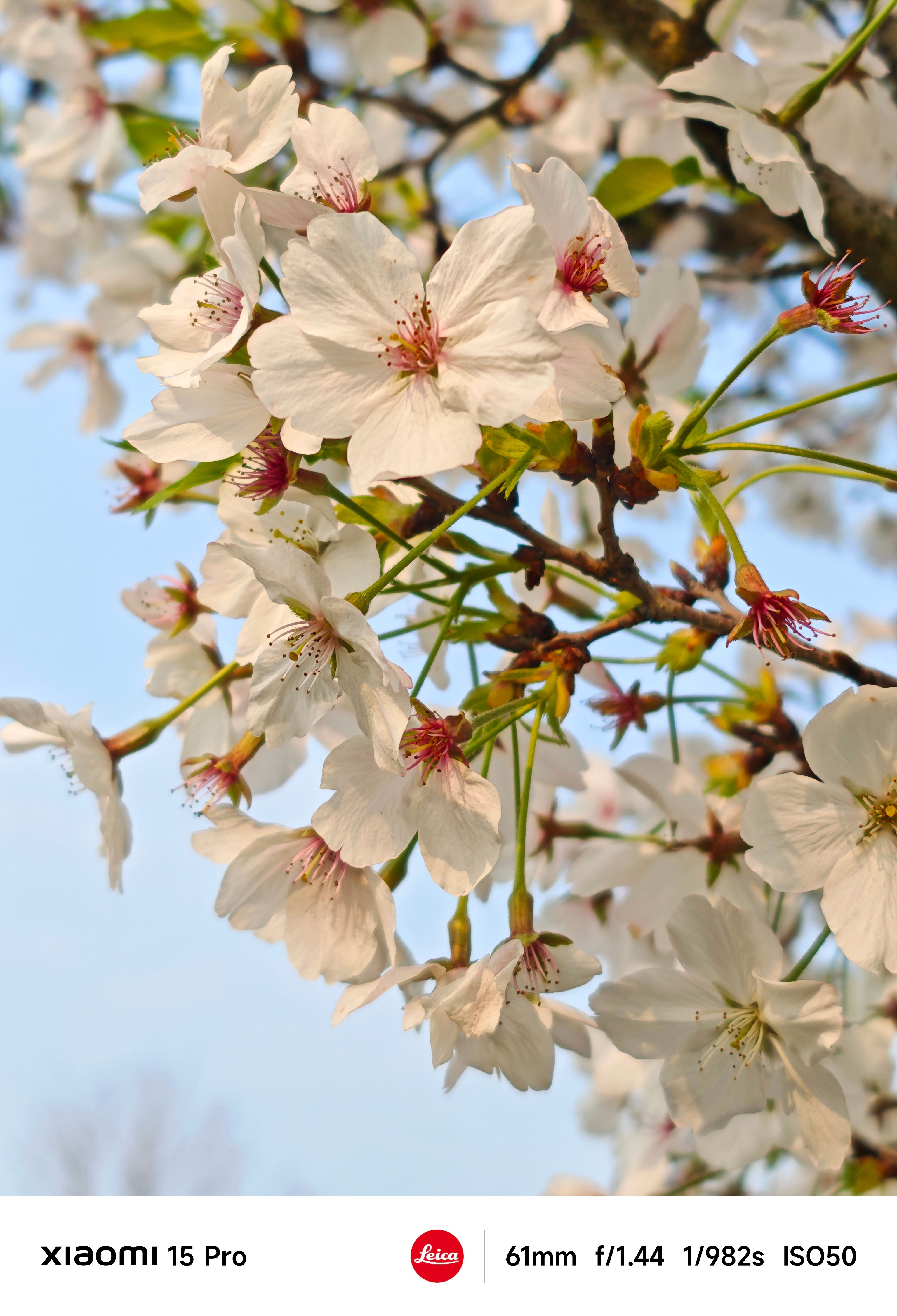 好多人装修没有去家务化的意识未来1-2年的大事儿就是买房子，然后装修，看得头大大