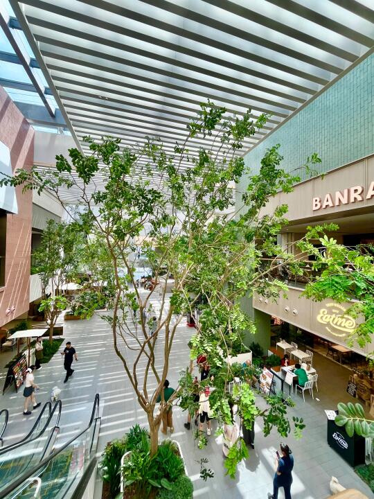 重庆观音桥🍃北城天街你让我感到陌生！！！😦