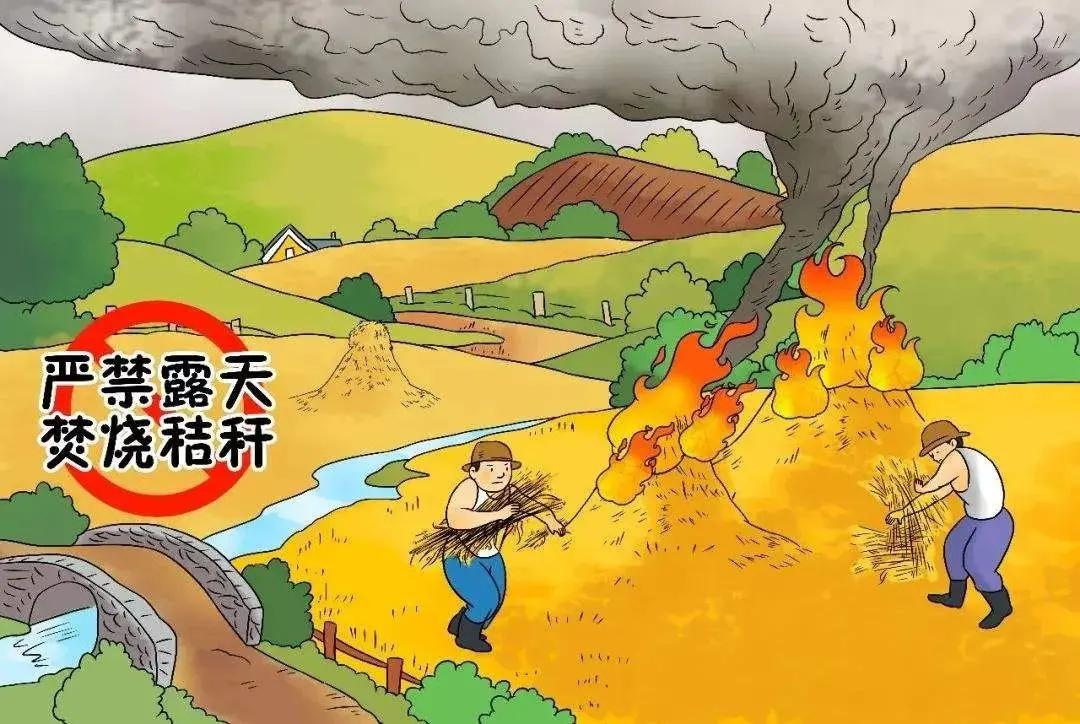 露天焚烧秸秆这事儿，随着生态环境法典草案又被提上日程，看来这次是要动真格了！