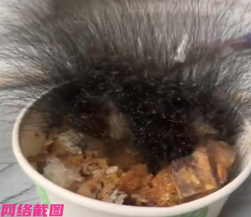 安徽合肥有男子过完年后，回归到公司开始正常上班。只是男子在推开办公室后，发现