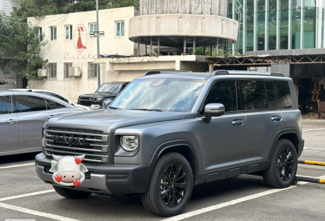 哈弗猛龙提车一周用车心得哈弗猛龙24款145穿越版，19寸轮毂，8月2